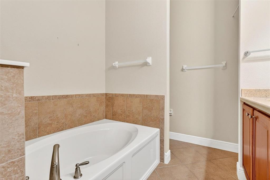 30224 Cheval Street Mount Dora, FL 32757 - Photo 26 of 45