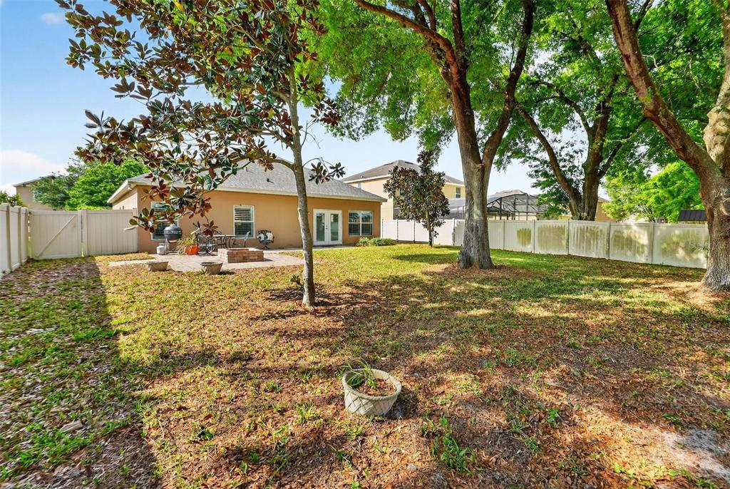 30224 Cheval Street Mount Dora, FL 32757 - Photo 43 of 45