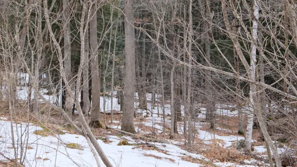 $49,000 | 0 Kestrell Drive, Unit 273, Plymouth, VT 05056