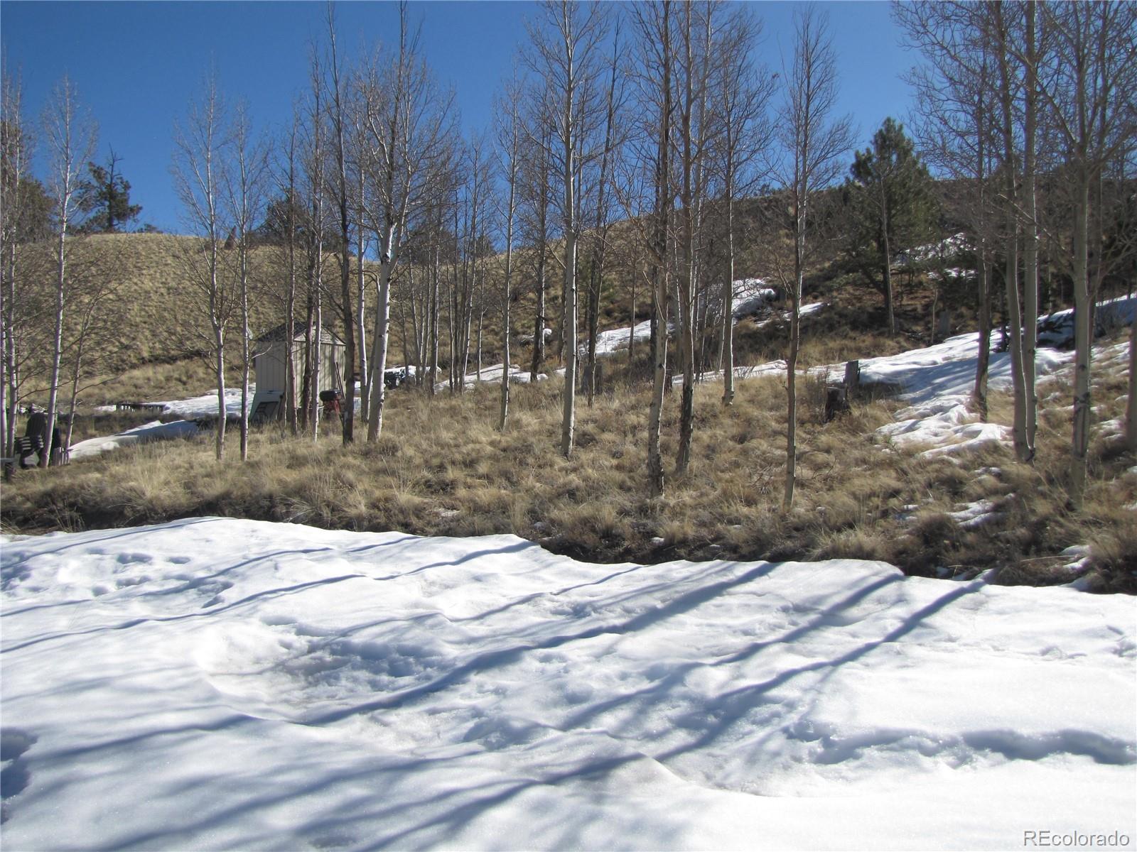 180 Corral Road Hartsel, CO 80449 - Photo 13 of 26 Gallery Image 13