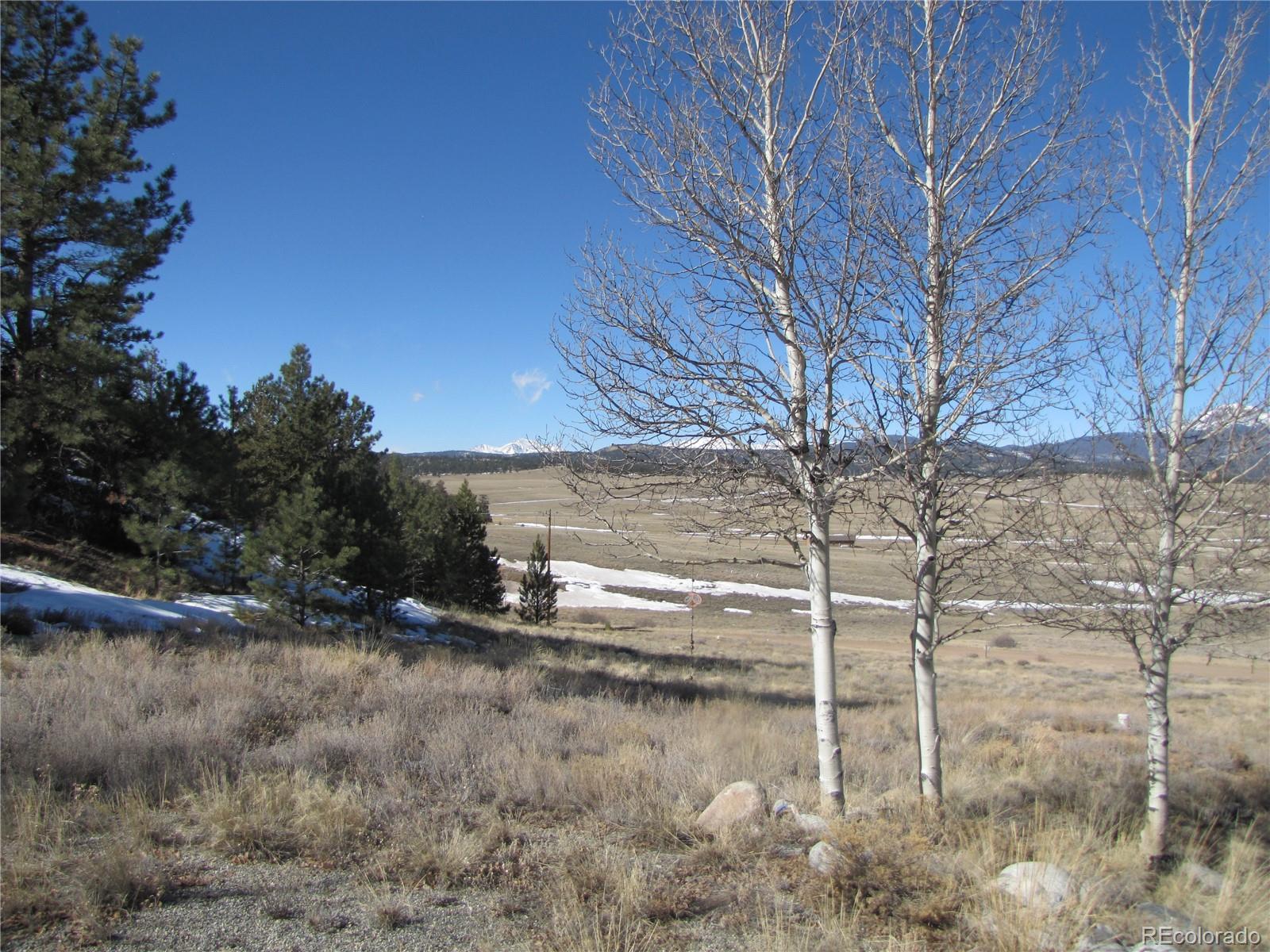 180 Corral Road Hartsel, CO 80449 - Photo 14 of 26 Gallery Image 14