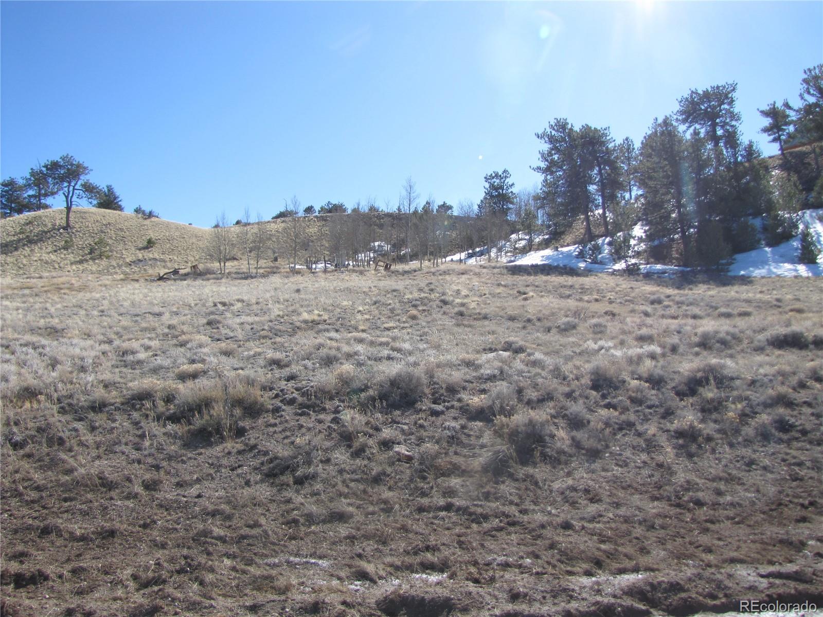 180 Corral Road Hartsel, CO 80449 - Photo 16 of 26 Gallery Image 16