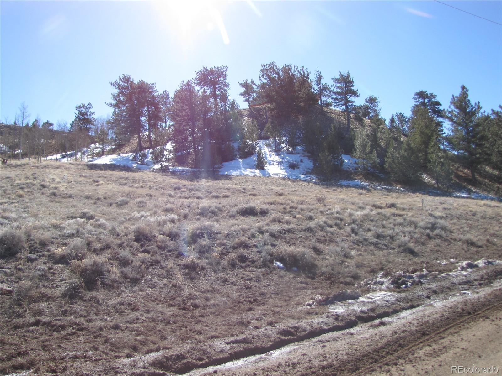 180 Corral Road Hartsel, CO 80449 - Photo 17 of 26 Gallery Image 17