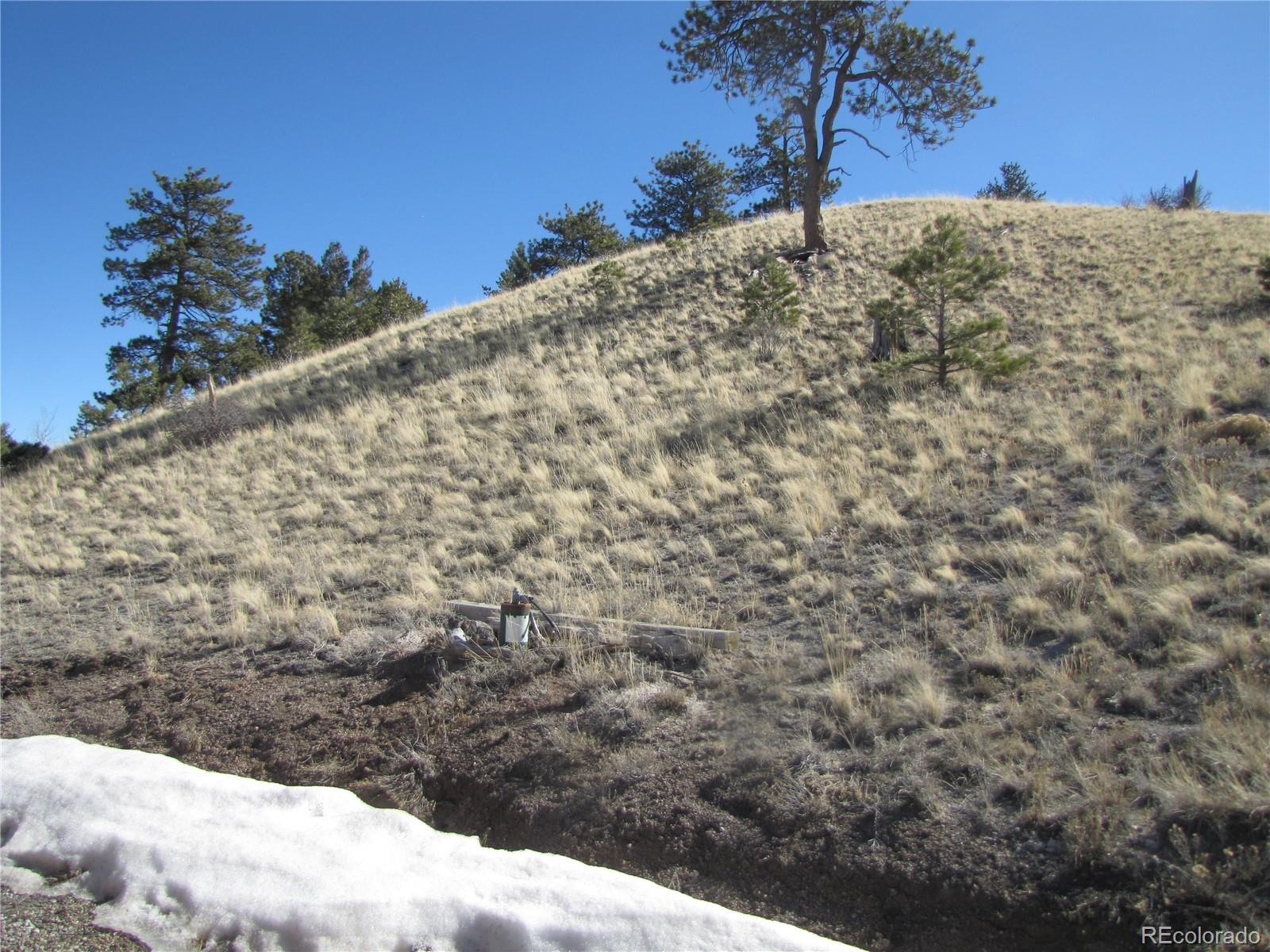 180 Corral Road Hartsel, CO 80449 - Photo 7 of 26 Gallery Image 7