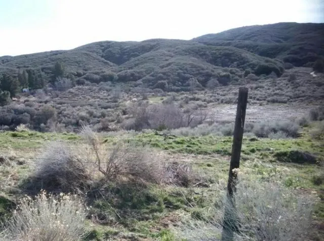 a view of a dry field