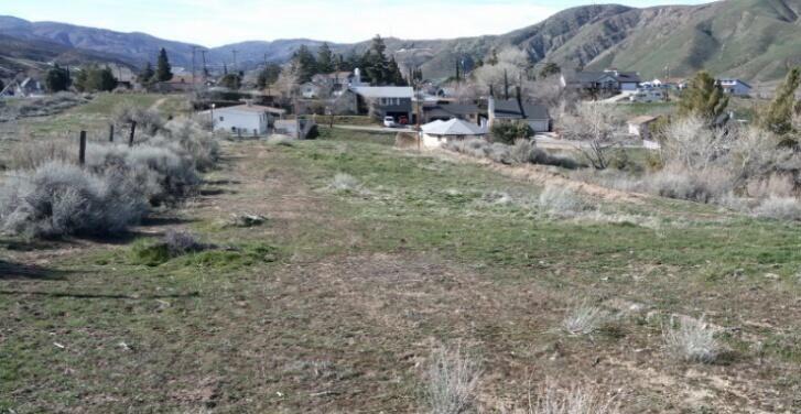 Ripton Rd Lake Lake Elizabeth, CA 93532 - Photo 5 of 7 a view of a forest with a tree