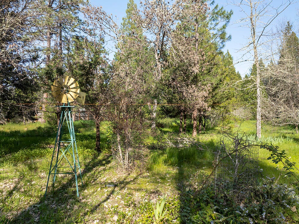 1685 Cedar Flat Road Williams, OR 97544 - Photo 33 of 60 33