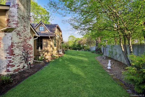 a view of a backyard with plants and a garden