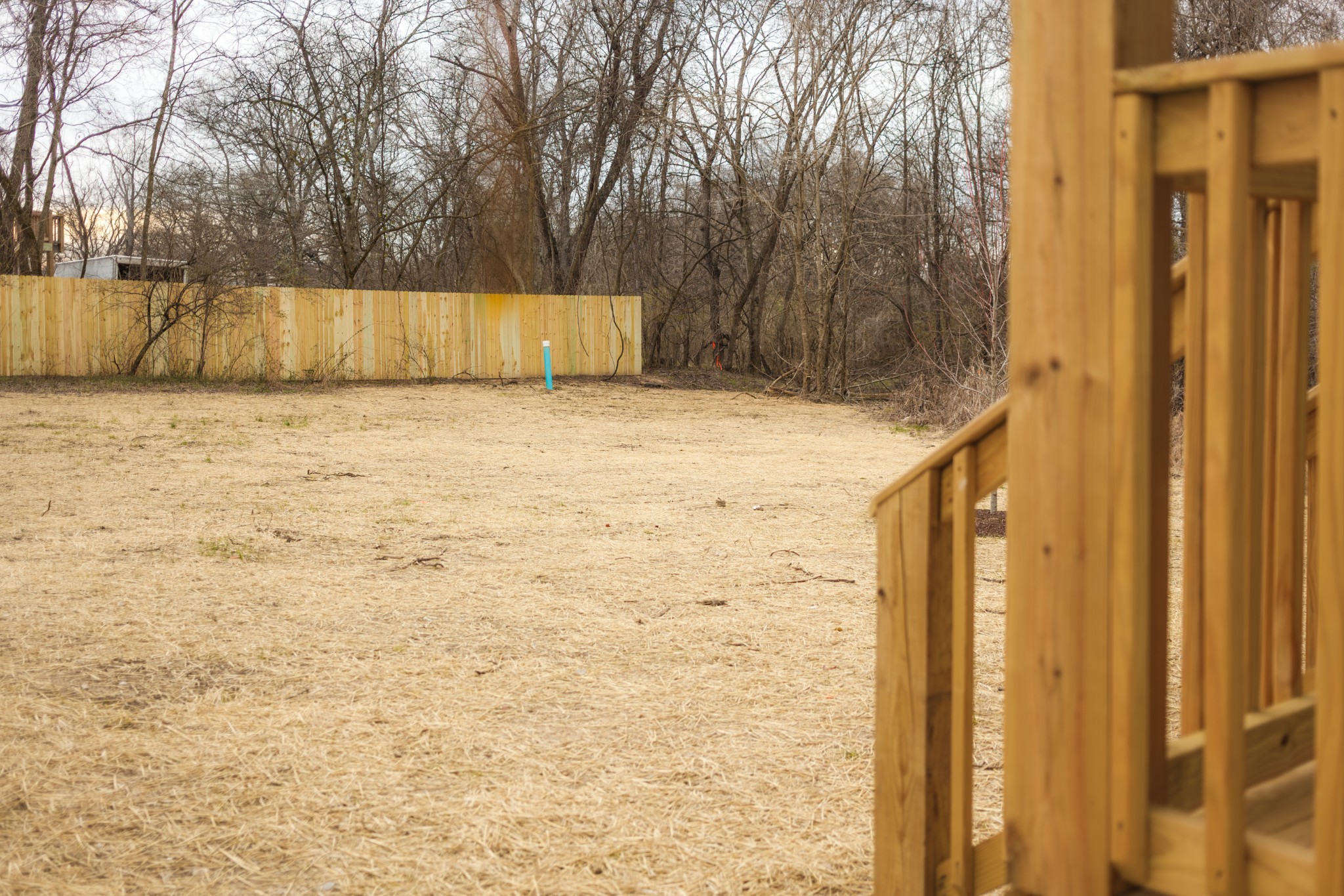 809 Swinging Bridge Road Old Hickory, TN 37138 - Photo 43 of 48