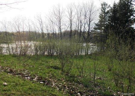1428 McKail Road Leonard, MI 48367 - Photo 5 of 6 Lake Views