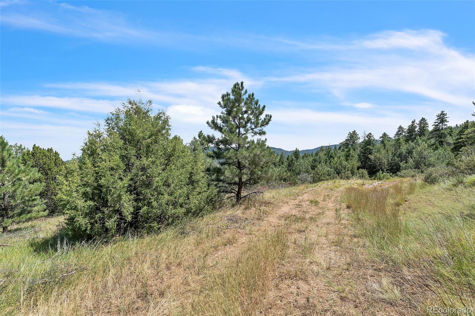 Beulah Highlands Road Beulah, CO 81023 - Photo 17 of 20