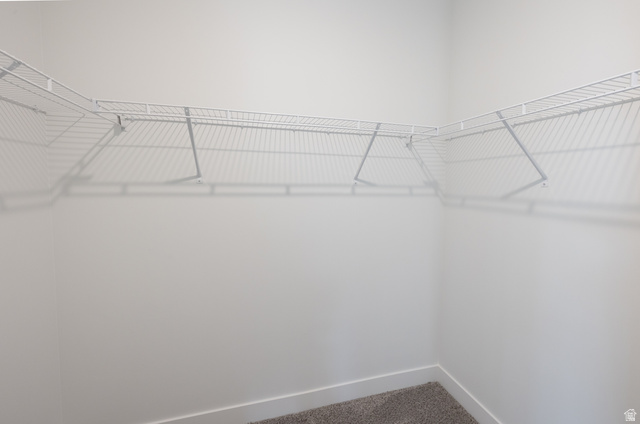 4653 South Alder Drive, Unit H302 Mapleton, UT 84664 - Photo 13 of 15 Walk in closet featuring carpet