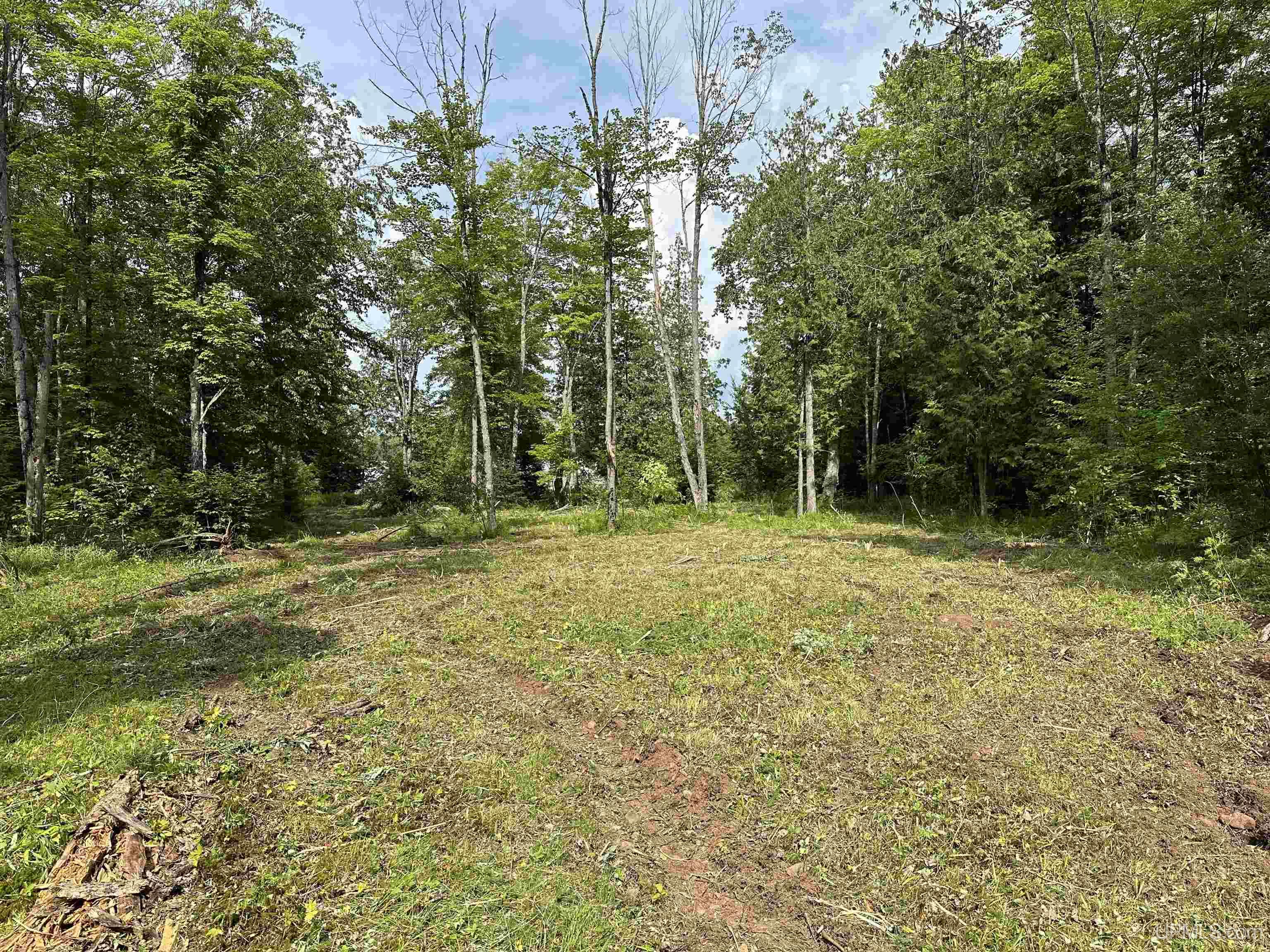 8300 Rd Marenisco Mi 49947 Road Marenisco, MI 49947 - Photo 6 of 13