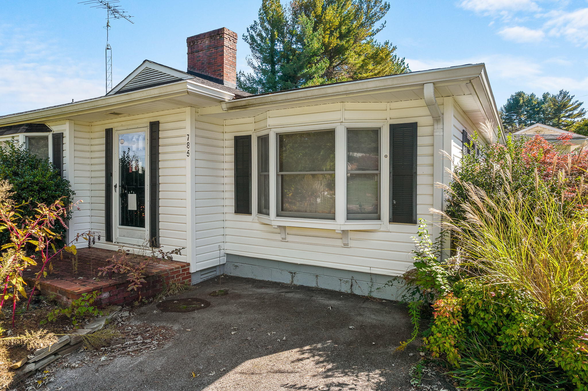 785 Warrensburg Road Greeneville, TN 37743 - Photo 2 of 45 1-web-or-mls-Warrensburg Rd 8