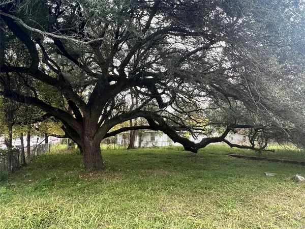 a view of yard with green space