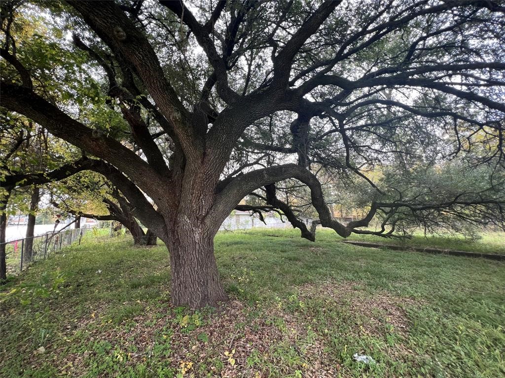 26218 Aldine Westfield Road Spring, TX 77373 - Photo 13 of 14