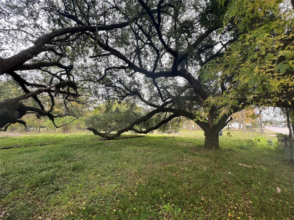 26218 Aldine Westfield Road Spring, TX 77373 - Photo 14 of 14