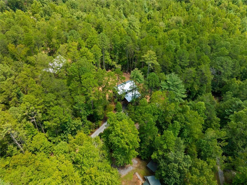 129 North Fern Cove Road Sautee Nacoochee, GA 30571 - Photo 34 of 36