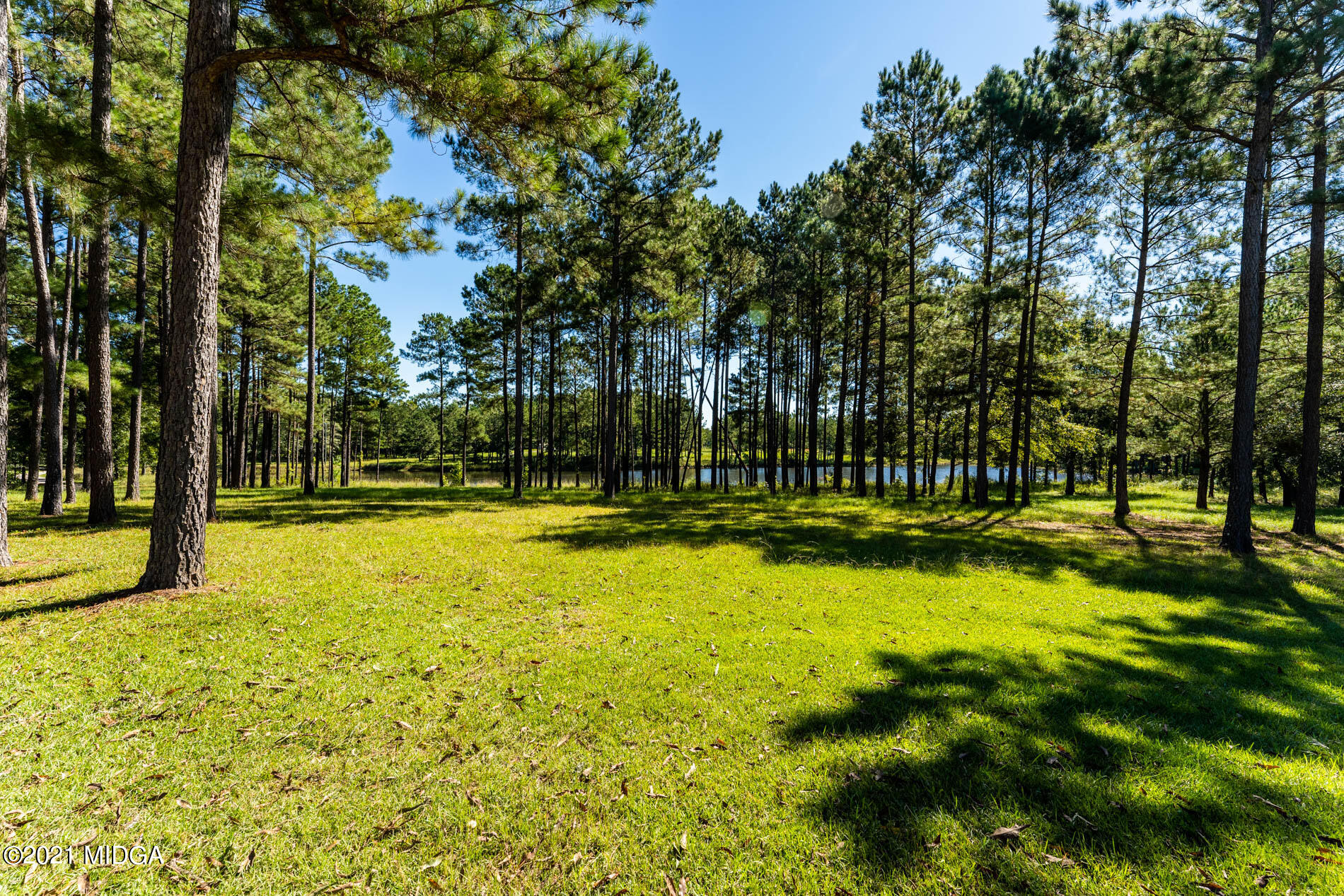 2138 Midway Road Lizella, GA 31052 - Photo 2 of 47 a view of swimming pool with yard and trees