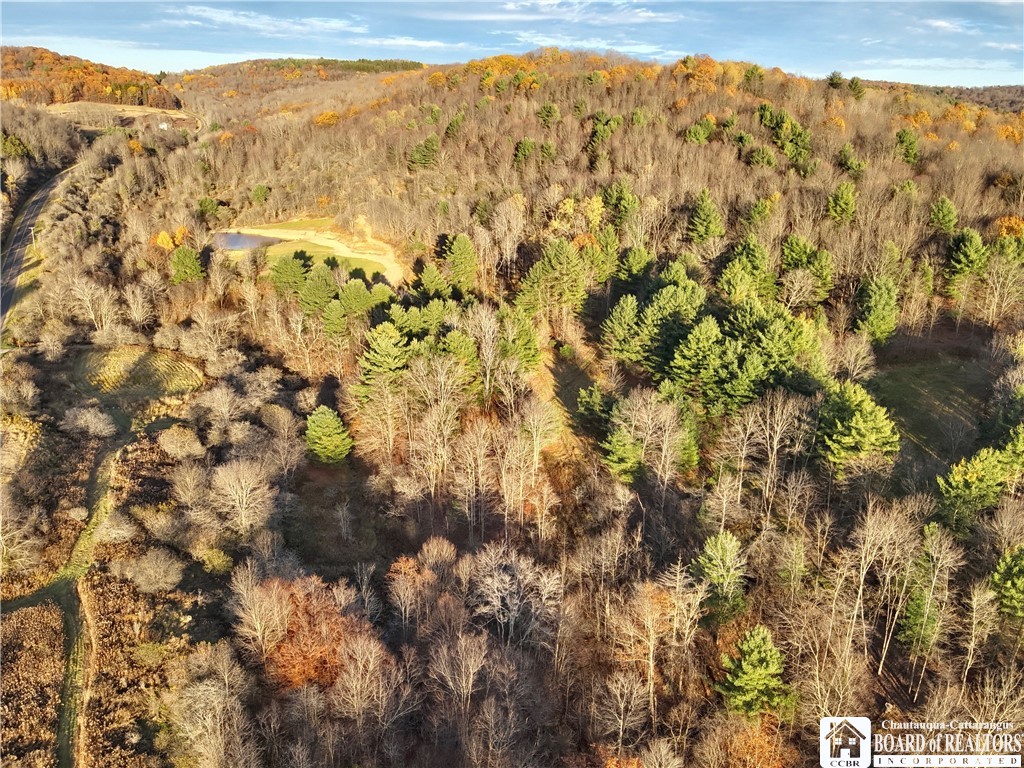 8 Co Road Friendship, NY 14739 - Photo 12 of 20