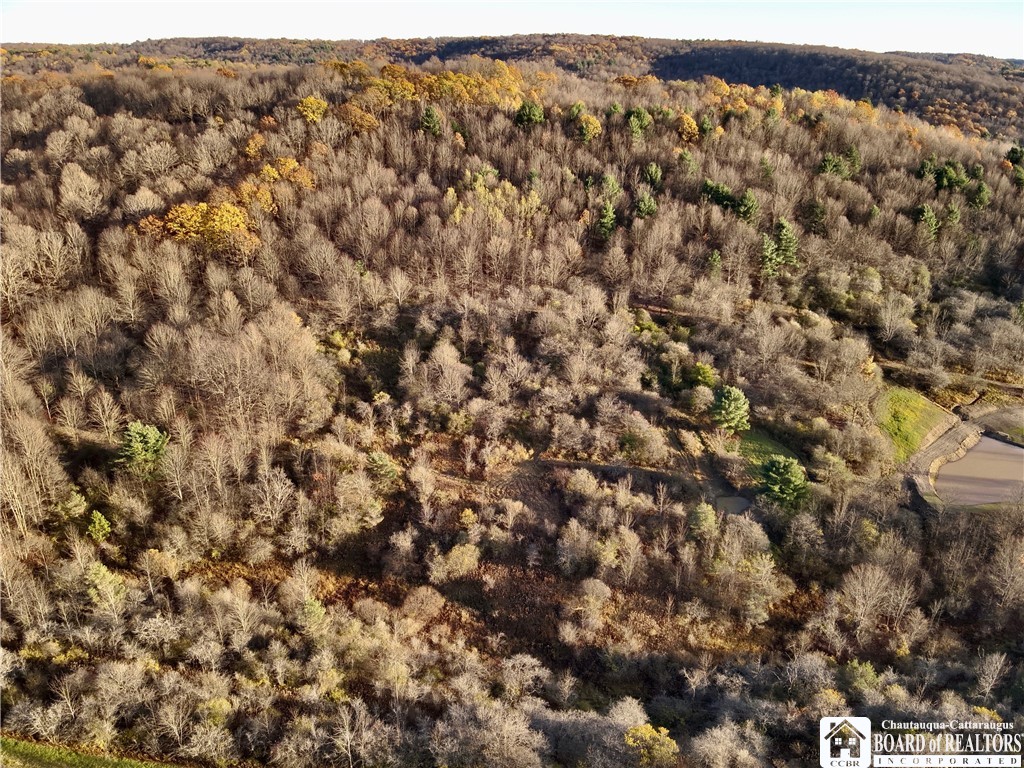 8 Co Road Friendship, NY 14739 - Photo 16 of 20