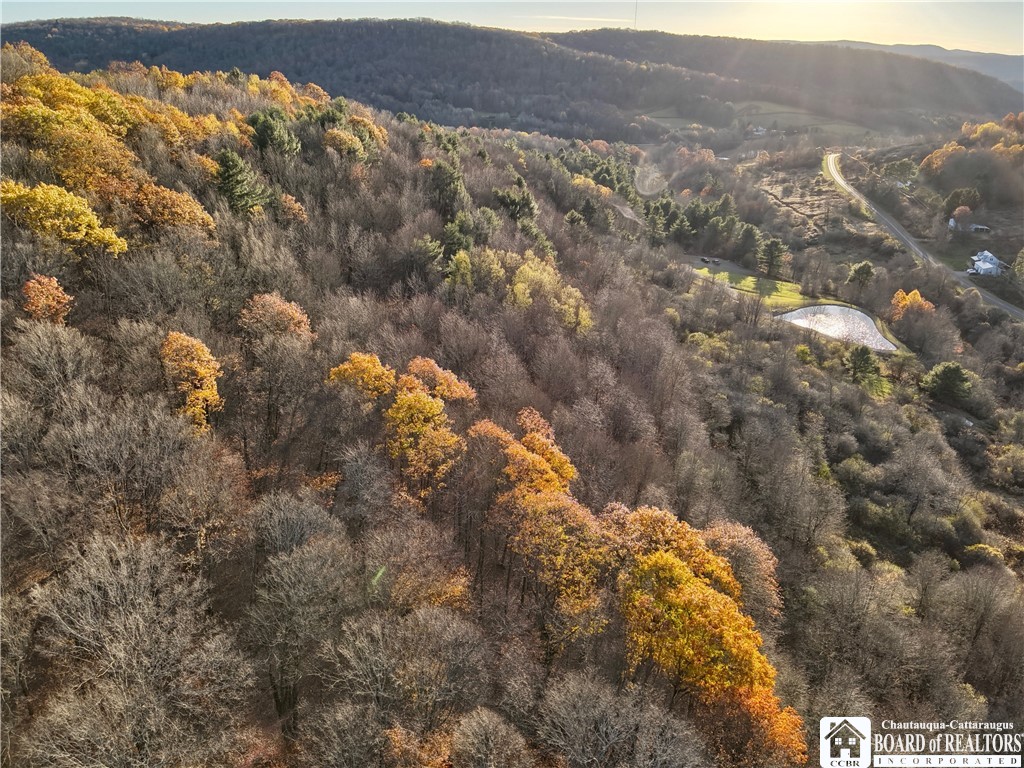 8 Co Road Friendship, NY 14739 - Photo 17 of 20