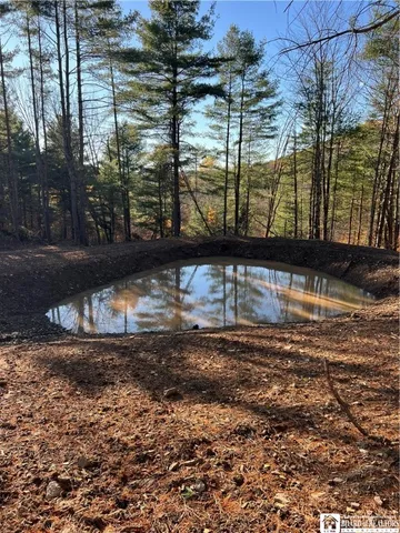 $175,000 | 8 Co Road, Friendship, NY 14739