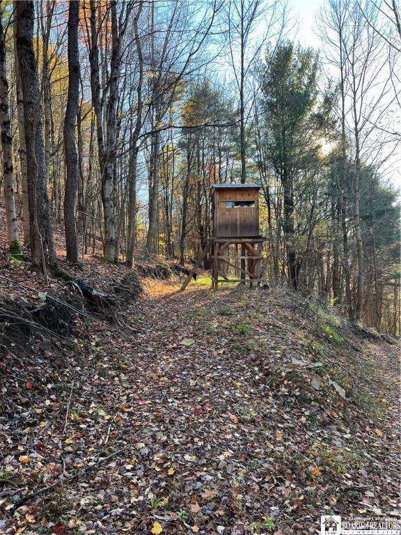 8 Co Road Friendship, NY 14739 - Photo 7 of 20