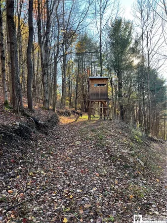 $169,000 | 8 Co Road, Friendship, NY 14739