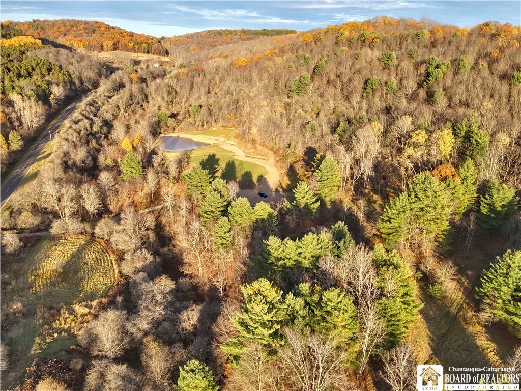 8 Co Road Friendship, NY 14739 - Photo 8 of 20