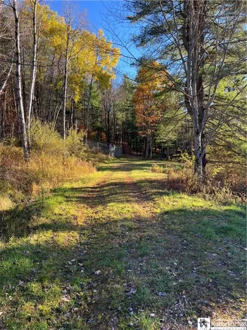 $175,000 | 8 Co Road, Friendship, NY 14739