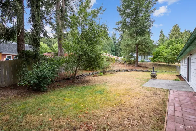 a view of a yard with plants and trees