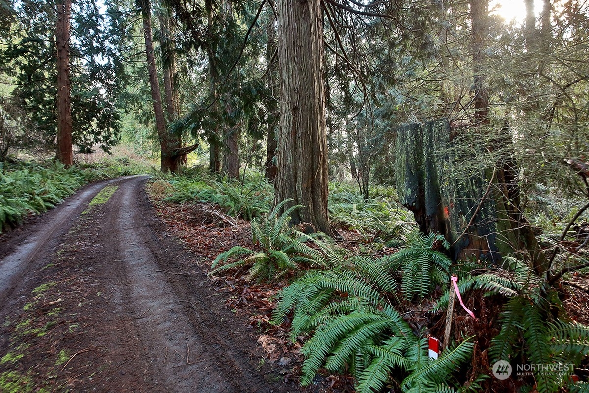 8021 Cultus Bay Road Clinton, WA 98236 - Photo 13 of 18 Gallery Image 13