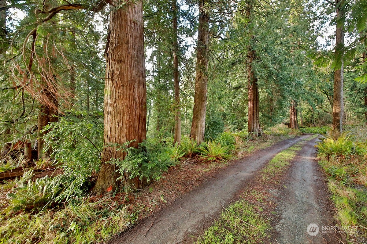 8021 Cultus Bay Road Clinton, WA 98236 - Photo 14 of 18 Gallery Image 14