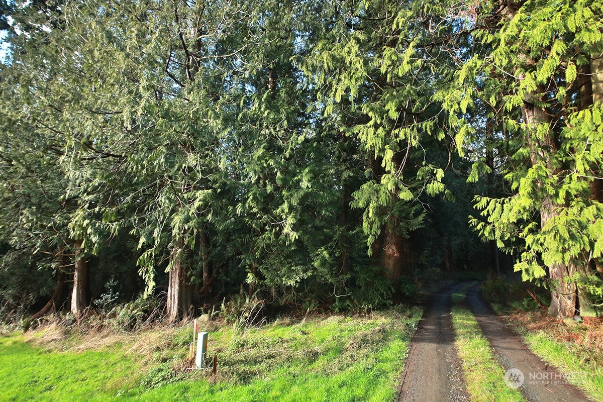 8021 Cultus Bay Road Clinton, WA 98236 - Photo 15 of 18 Gallery Image 15