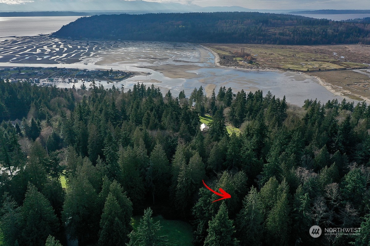 8021 Cultus Bay Road Clinton, WA 98236 - Photo 4 of 18 Gallery Image 4