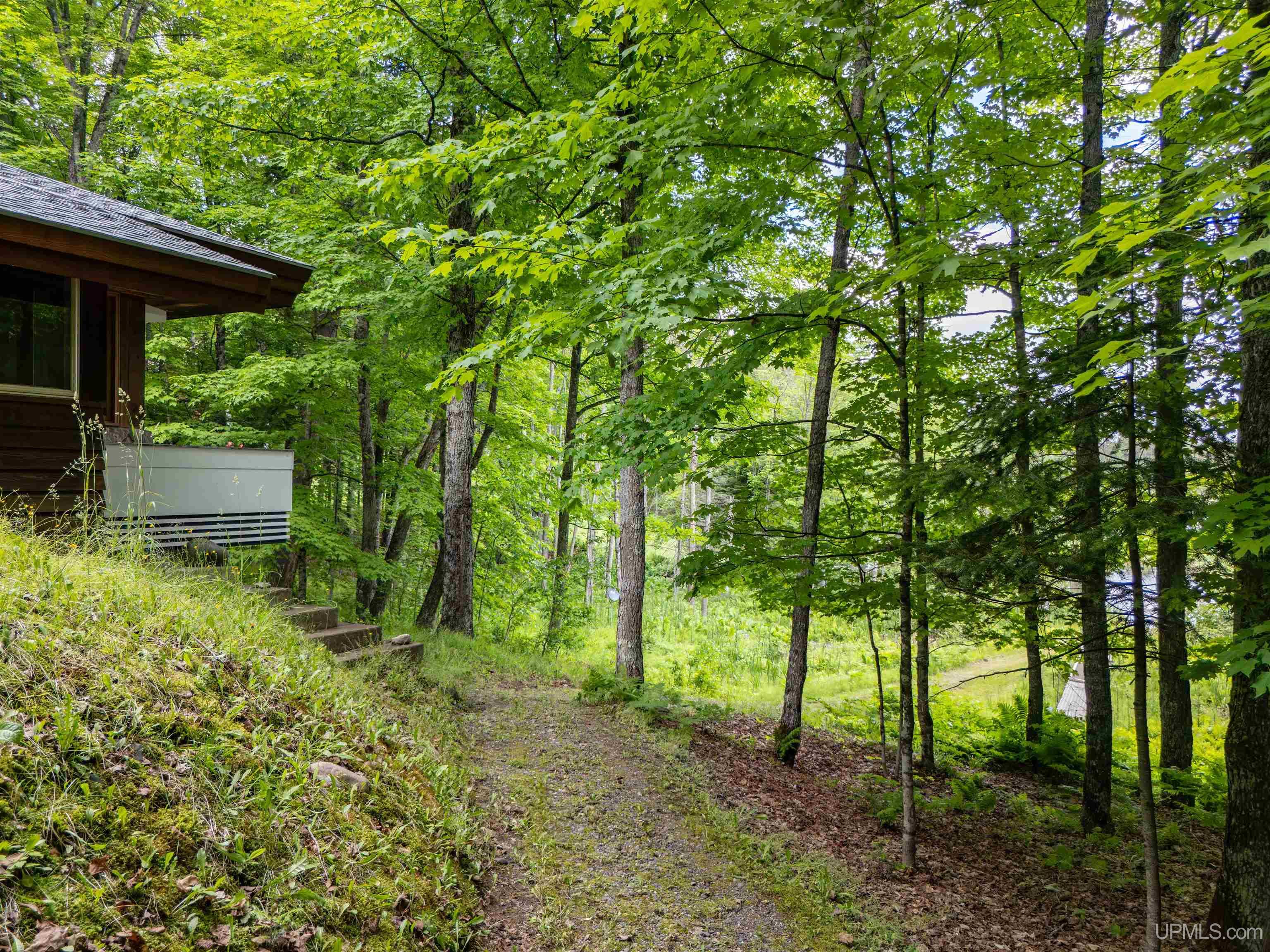 104 North Hagerman Lake Road Iron River, MI 49935 - Photo 42 of 55