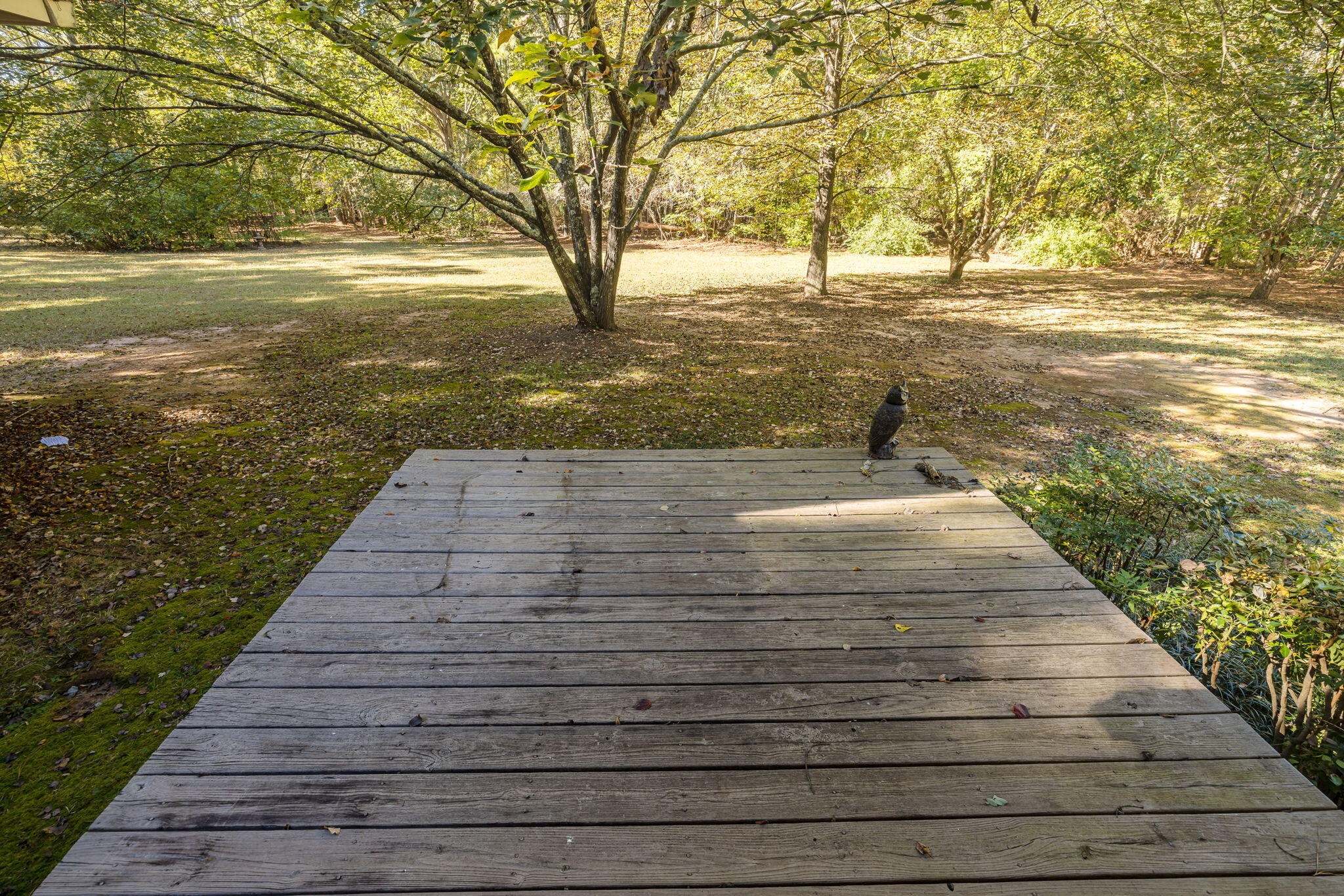 6768 Cobbham Road Appling, GA 30802 - Photo 56 of 73 SBP_0863