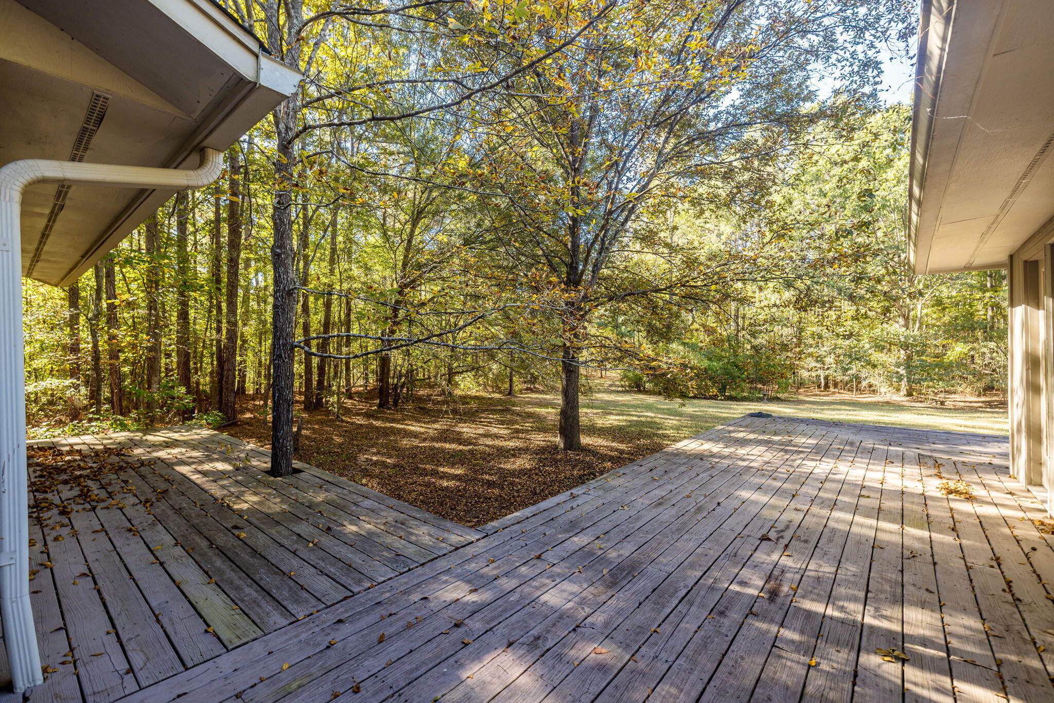 6768 Cobbham Road Appling, GA 30802 - Photo 59 of 73 SBP_0867