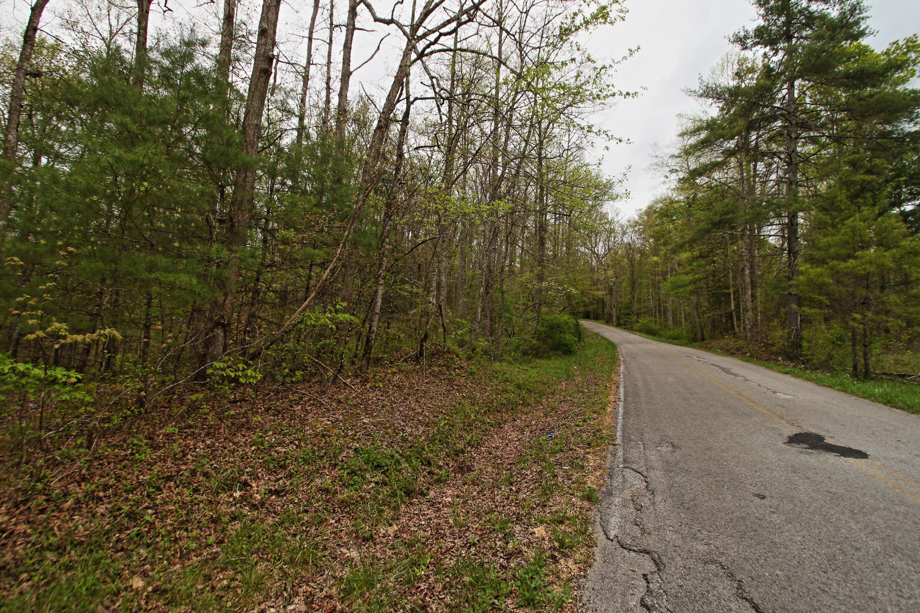 32-acres Mt Helen Road Allardt, TN 38504 - Photo 13 of 15 z14
