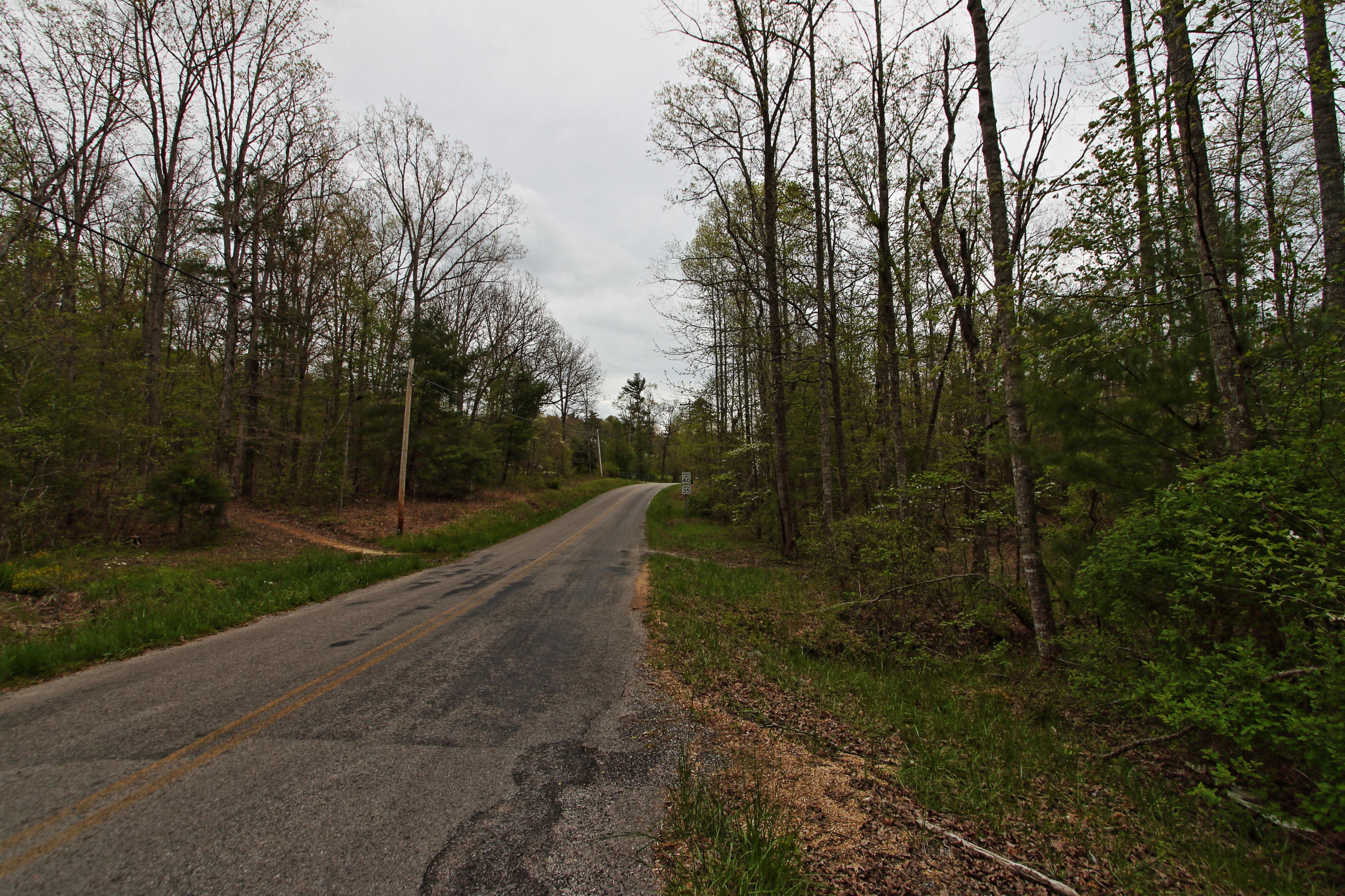 32-acres Mt Helen Road Allardt, TN 38504 - Photo 14 of 15 z13