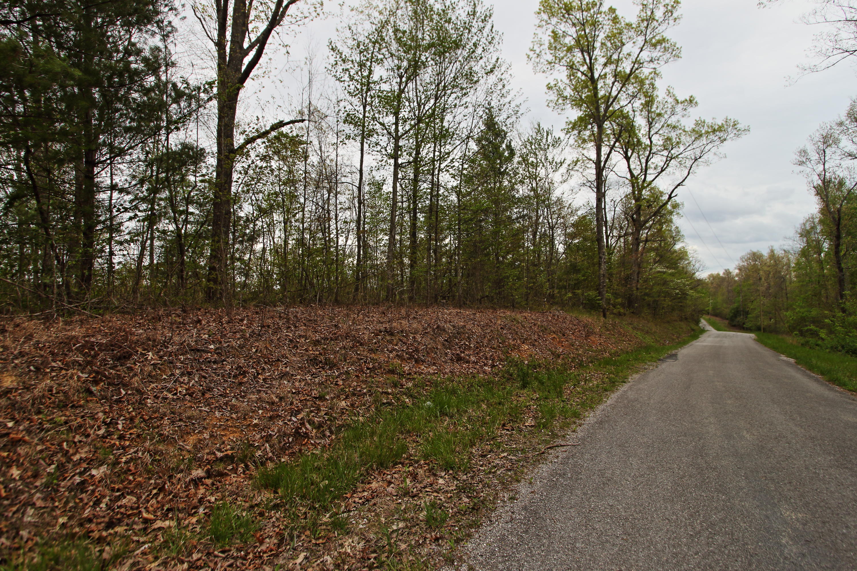 32-acres Mt Helen Road Allardt, TN 38504 - Photo 15 of 15 z16