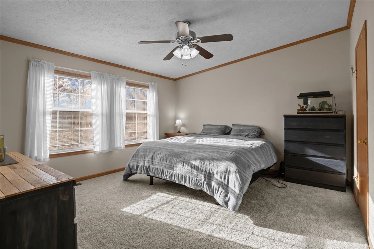 2937 Marthas Chapel Road Cunningham, TN 37052 - Photo 17 of 42