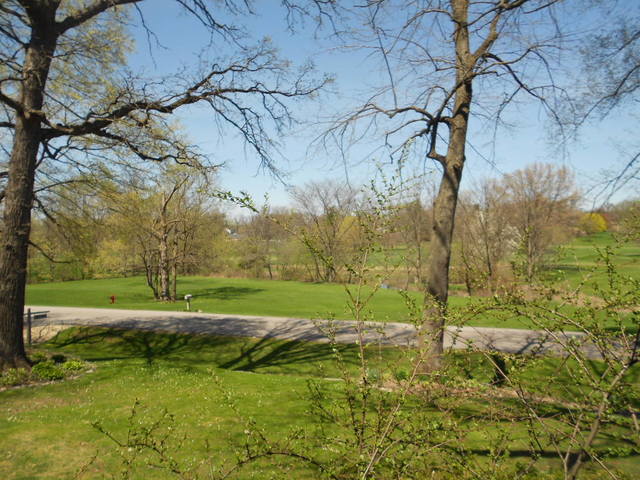 564 Aberdeen Road Frankfort, IL 60423 - Photo 34 of 40