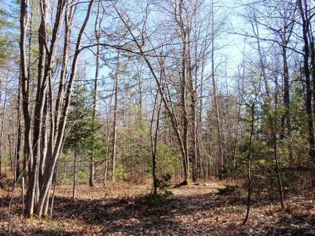 6833 Shore Dr Drive Rhinelander, WI 54501 - Photo 20 of 20 Gallery Image 20