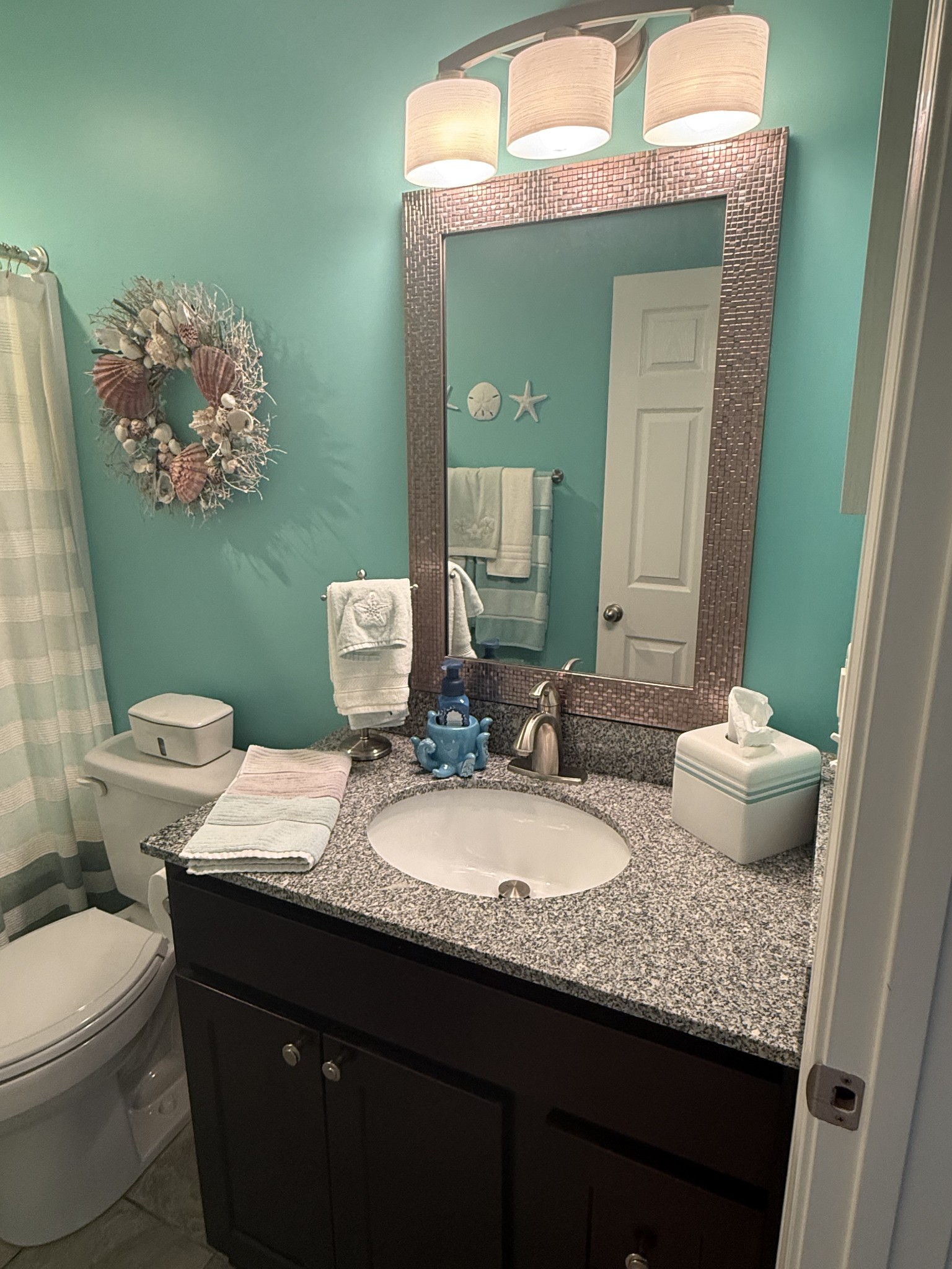 330 North Centerpoint Road Portland, TN 37148 - Photo 8 of 28 a bathroom with a granite countertop toilet sink and mirror