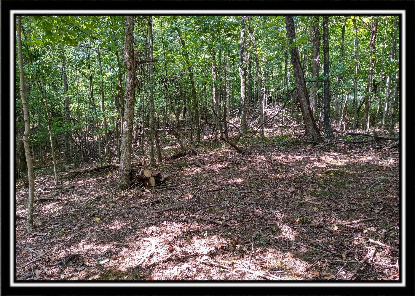 0 Hampton Hollow Road Langsville, OH 45741 - Photo 30 of 58 Hampton4-13