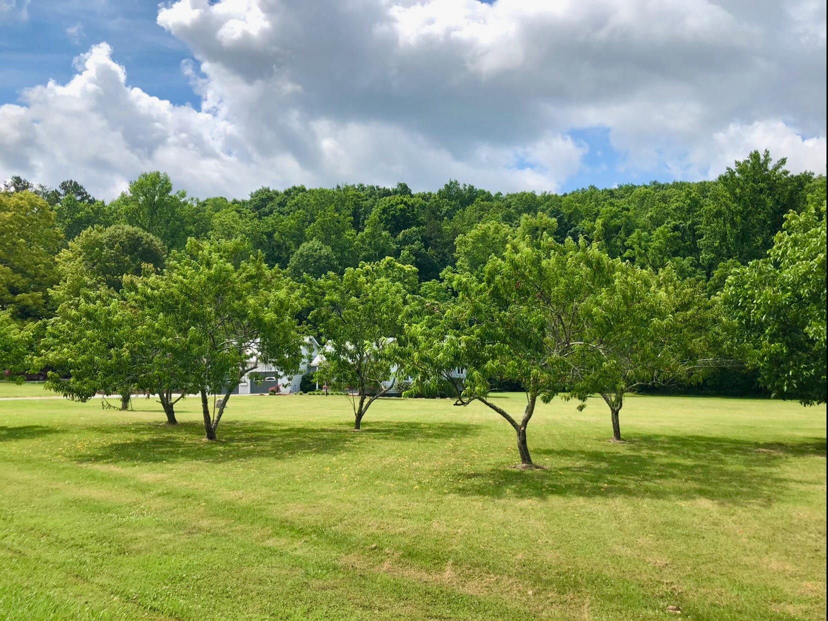 110 Luminary Cemetery Road Ten Mile, TN 37880 - Photo 13 of 19 Gallery Image 13
