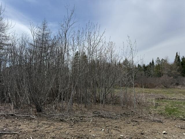 Lot 2 Holmes Bay Farms Road Whiting, ME 04691 - Photo 7 of 15