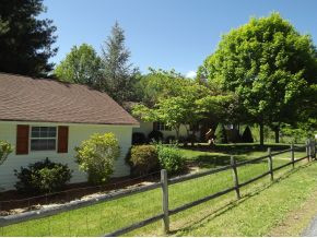 845 Mc Curry Road Unicoi, TN 37692 - Photo 1 of 24 Photo 1